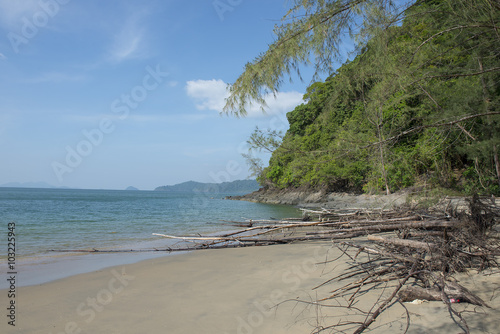 Fototapeta Naklejka Na Ścianę i Meble -  Andaman Seascape