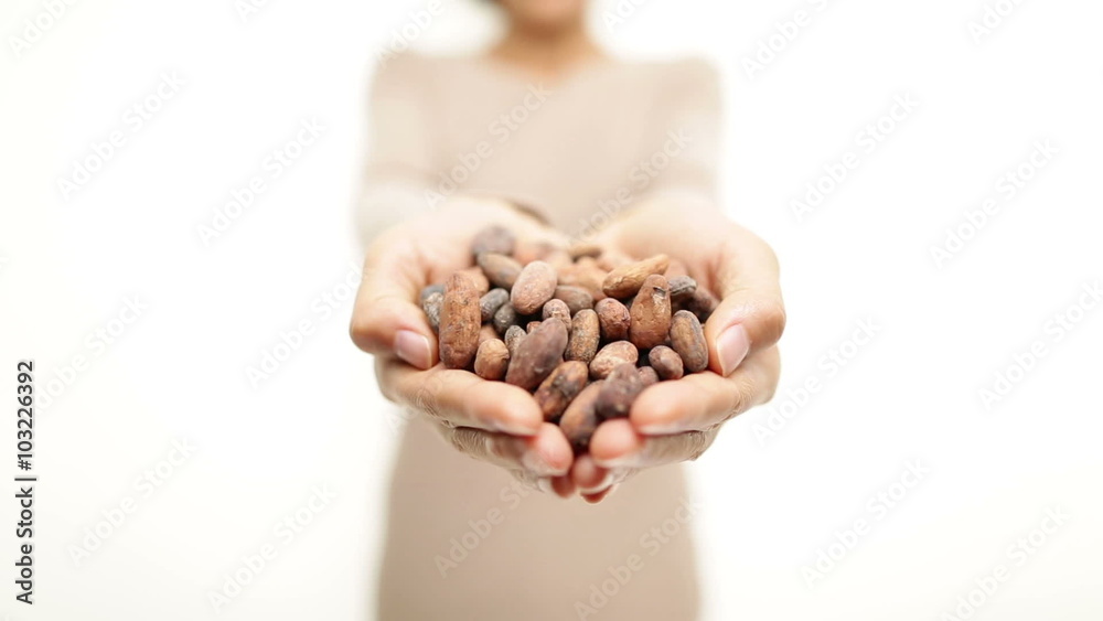 Cacao beans - heap of raw cocoa beans. Superfood - woman showing handful of the raw cacao bean. Woman living healthy eating lifestyle. Cacao beans - heap of raw cocoa beans. Superfood - woman showing handful of the raw cacao bean. Woman living healthy eating lifestyle.