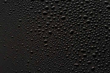 water drops on black