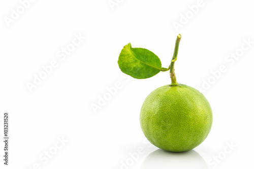 Close up fresh limes.