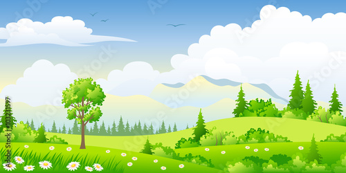 Summer landscape with trees