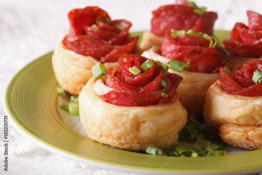 Beautiful food: roll with salami and cheese close-up. horizontal
