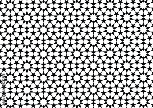 Vectorized amazing design of the walls in Agra - India