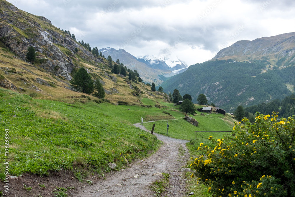 Mountain Path in Beautiful Switzerland