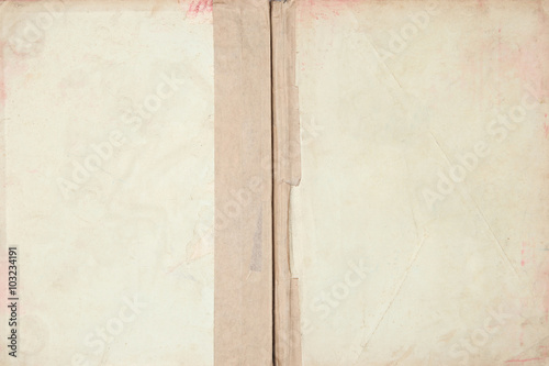 Canvas Print Old book