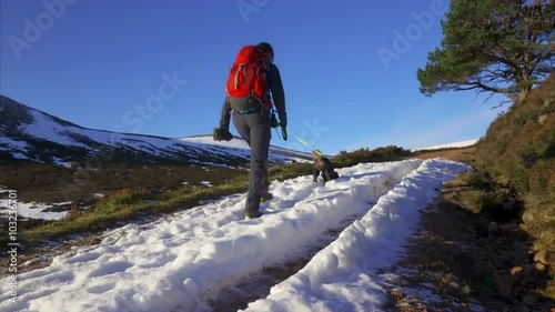 A hiker and their dog walking towards the summit of Geal Charn Mor from Lynwilg near the Cairngorms in the Scottish Highlands.
