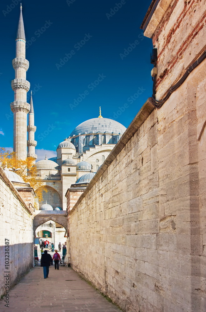 Obraz premium Suleymaniye Mosque (Suleymaniye Camii), Istanbul