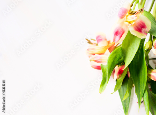 Fototapeta Naklejka Na Ścianę i Meble -  Bunch of spring flowers on white wooden table