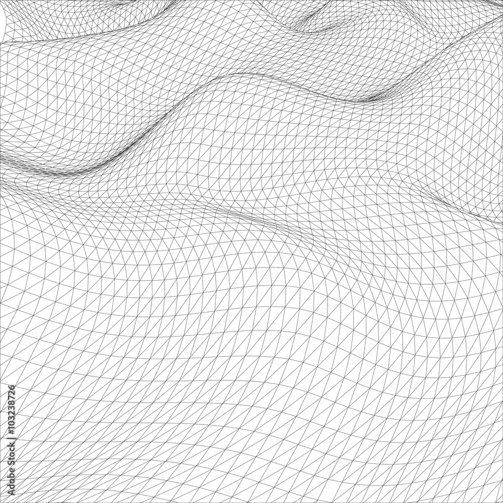 Abstract wire-frame grid. Vector illustration. Abstract wire-frame grid. Vector illustration.