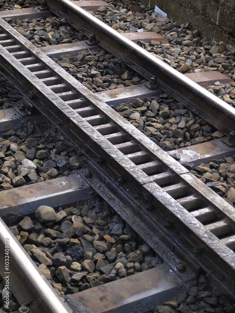 Naklejka premium rigi railways/Switzerland