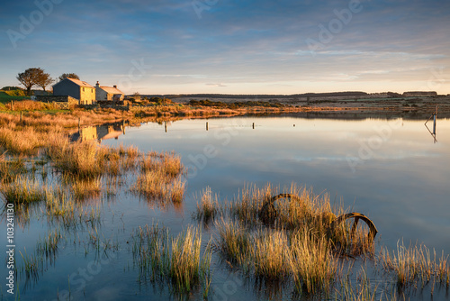 Lakeside Cottages photo