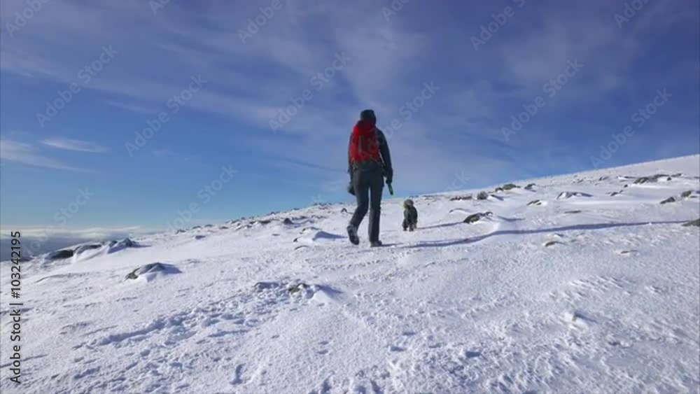 A hiker and their dog walking to the summit of Geal Charn Mor near the Cairngorms in the Scottish Highlands on a cold sunny winters day. A hiker and their dog walking to the summit of Geal Charn Mor near the Cairngorms in the Scottish Highlands on a cold sunny winters day.