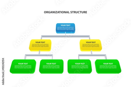 Organizational Structure - corporate hierarchy - Vector infographic template