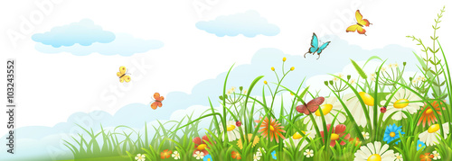 Summer meadow banner with green grass, flowers, butterflies and clouds