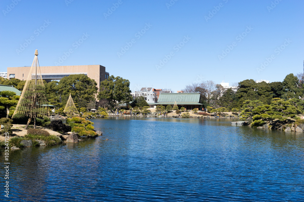Fototapeta premium 清澄庭園