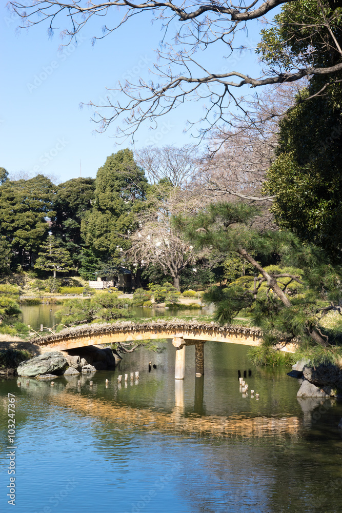 Fototapeta premium 清澄庭園 橋