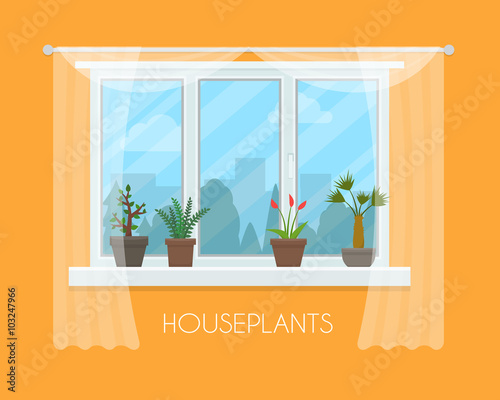 House plants in pots on window with a curtain