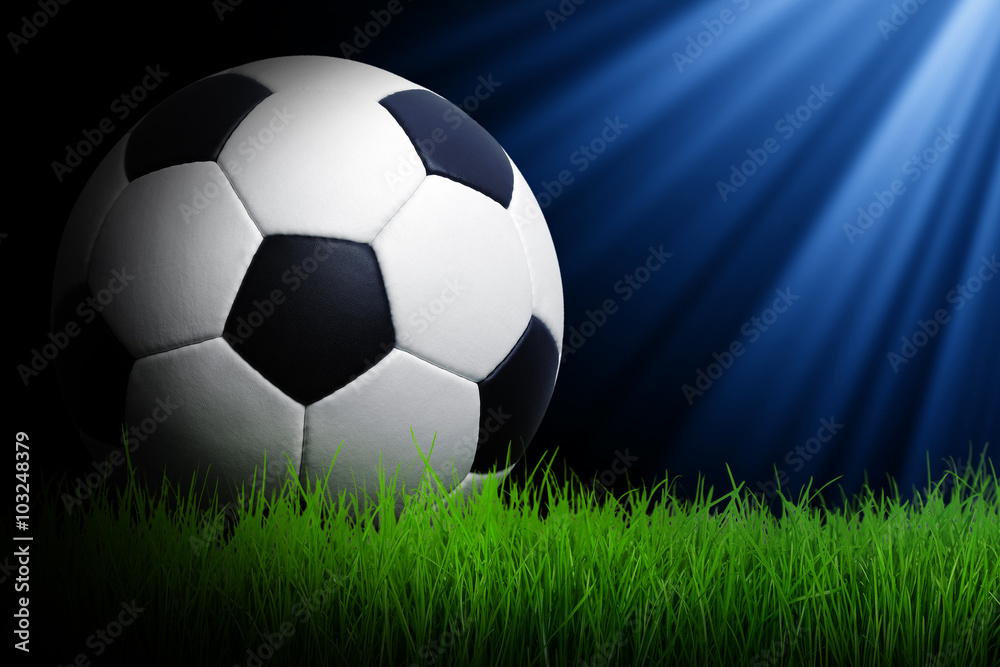 Fototapeta premium Soccer ball