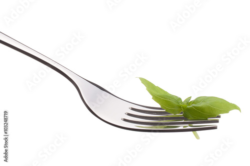 Fresh basil leaf  on fork isolated on white background cutout. H