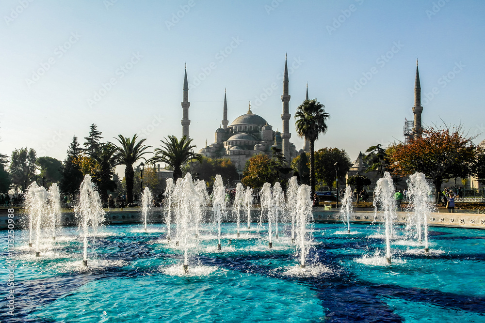 Naklejka premium Blue Mosque