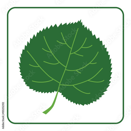 Green leaf silhouette icon. Concept Save the Planet. Care of Earth. Ecology flat design element. Eco green symbol of linden leaf isolated on white background. Organic nature Bio. Vector illustration