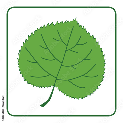 Green leaf silhouette icon. Concept Save the Planet. Care of Earth. Ecology flat design element. Eco green symbol of linden leaf isolated on white background. Organic nature Bio. Vector illustration