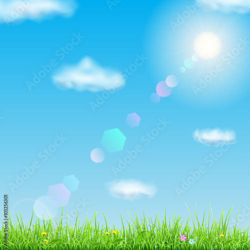 Spring background with green grass