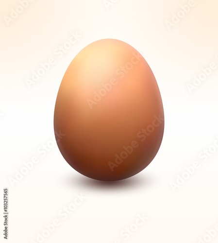 Realistic egg, vector illustration.