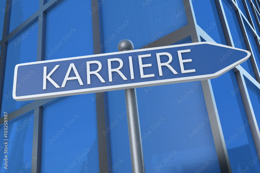 Karriere