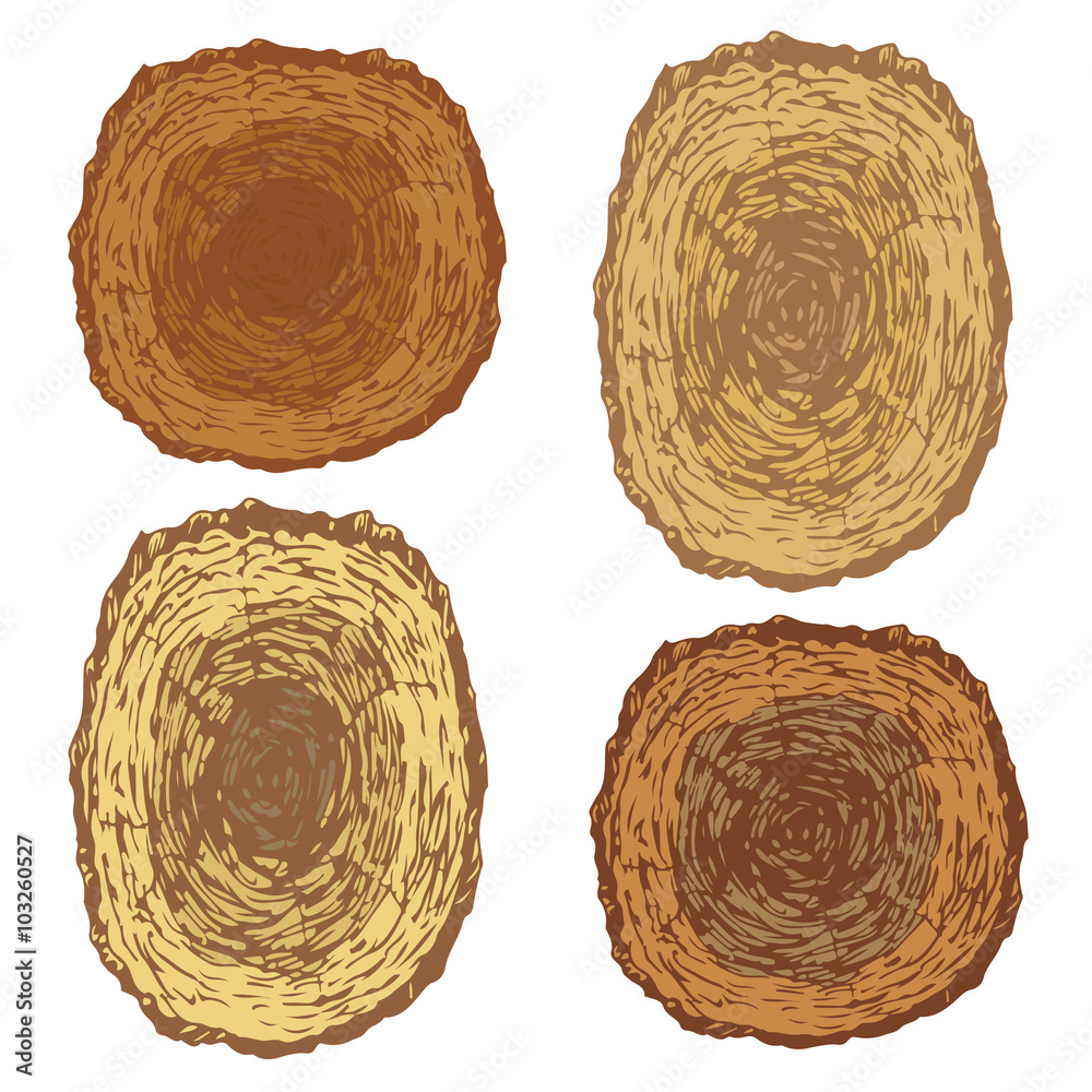 Obraz premium Wooden2