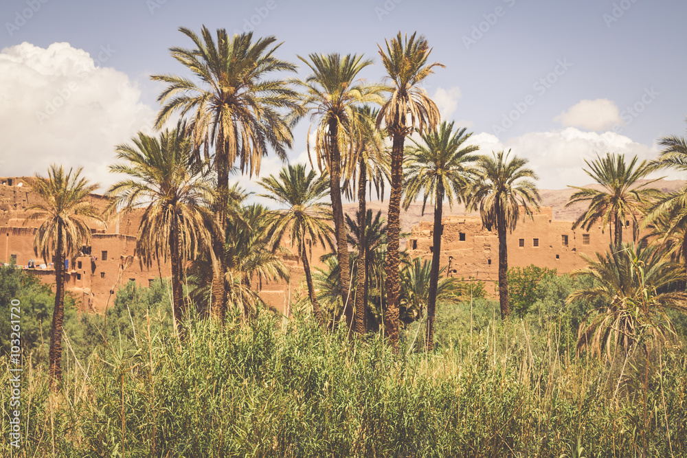 Tinerhir village near Georges Todra at Morocco Tinerhir village near Georges Todra at Morocco
