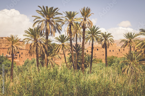 Tinerhir village near Georges Todra at Morocco