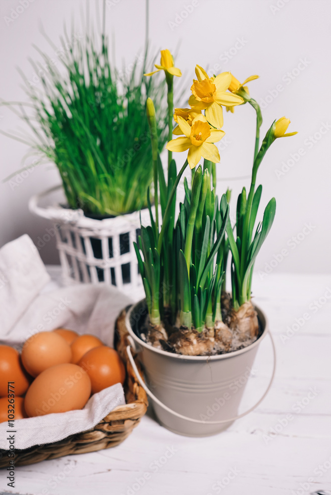 Narcissus and yellow eggs