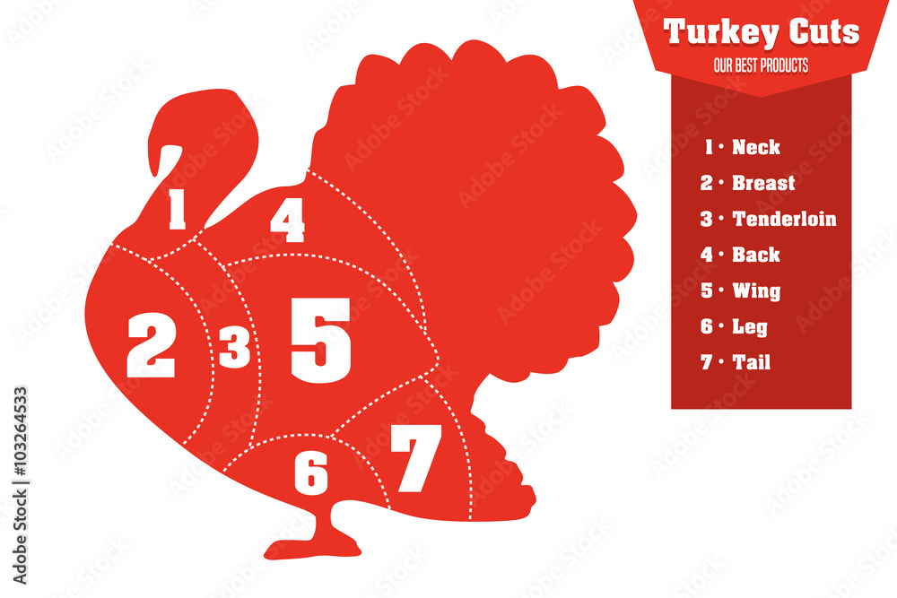 Turkey cuts infographic set of meat parts, vector Stock Vector Adobe