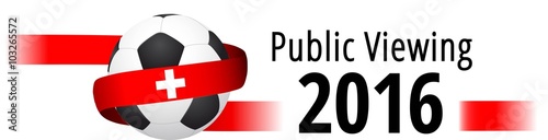 Public Viewing 2016