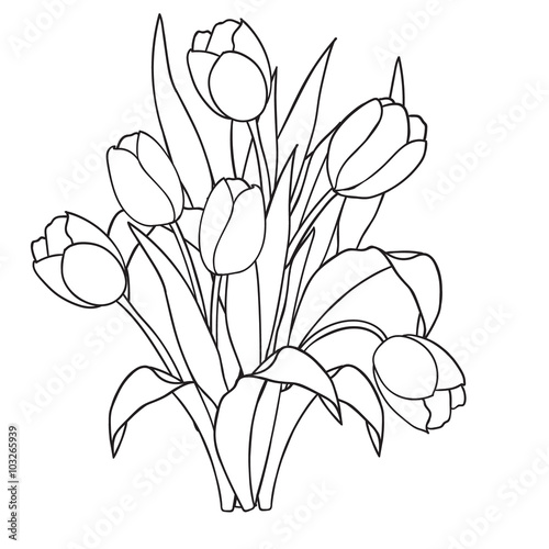 Fototapeta Naklejka Na Ścianę i Meble -  Tulips , flowers, ornamental black and white coloring pages.