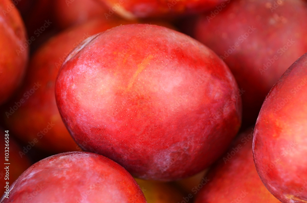 Red plum, close up, DOF