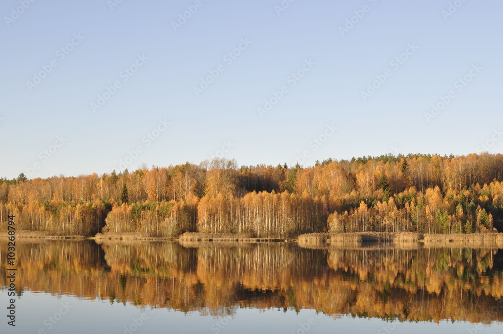 Fototapeta premium Splendid autumn forest near the lake 