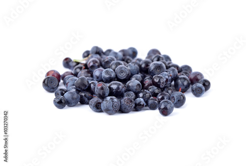 Blueberry on white