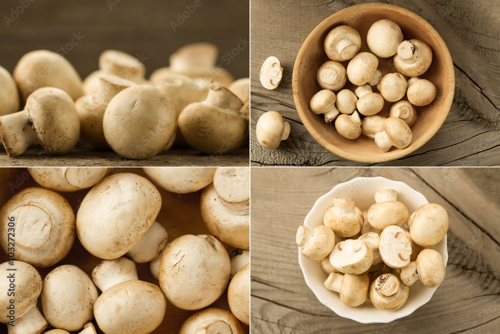 fresh mushrooms on wooden background, Collage fresh mushrooms on wooden background, Collage