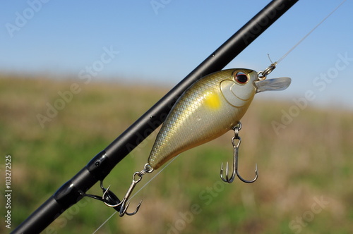 Fishing lure: crankbait