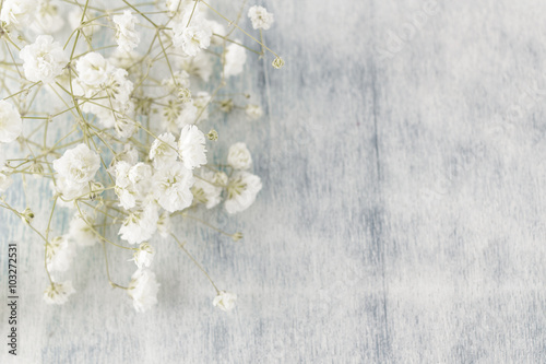 Gypsophila (Baby's-breath flowers), light, airy masses of small white flowers, on wooden background.
