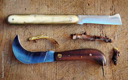 Different different kinds of grafting and budding knives with cherry twigs.