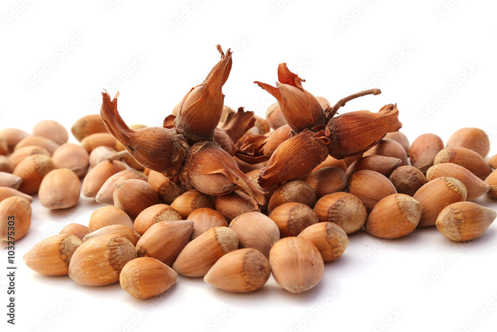 Noisettes Noisettes