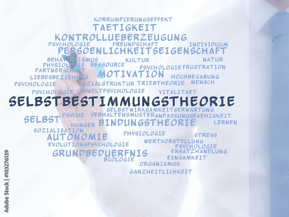 Selbstbestimmungstheorie