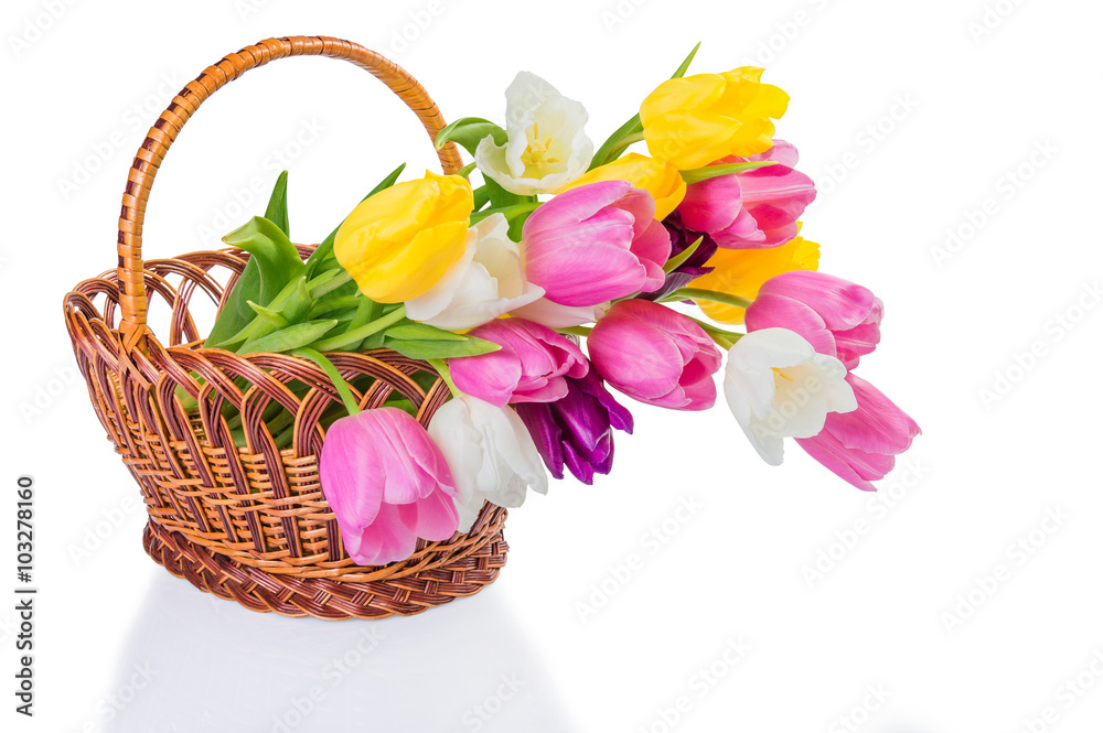 Obraz premium Tulip flowers in a basket