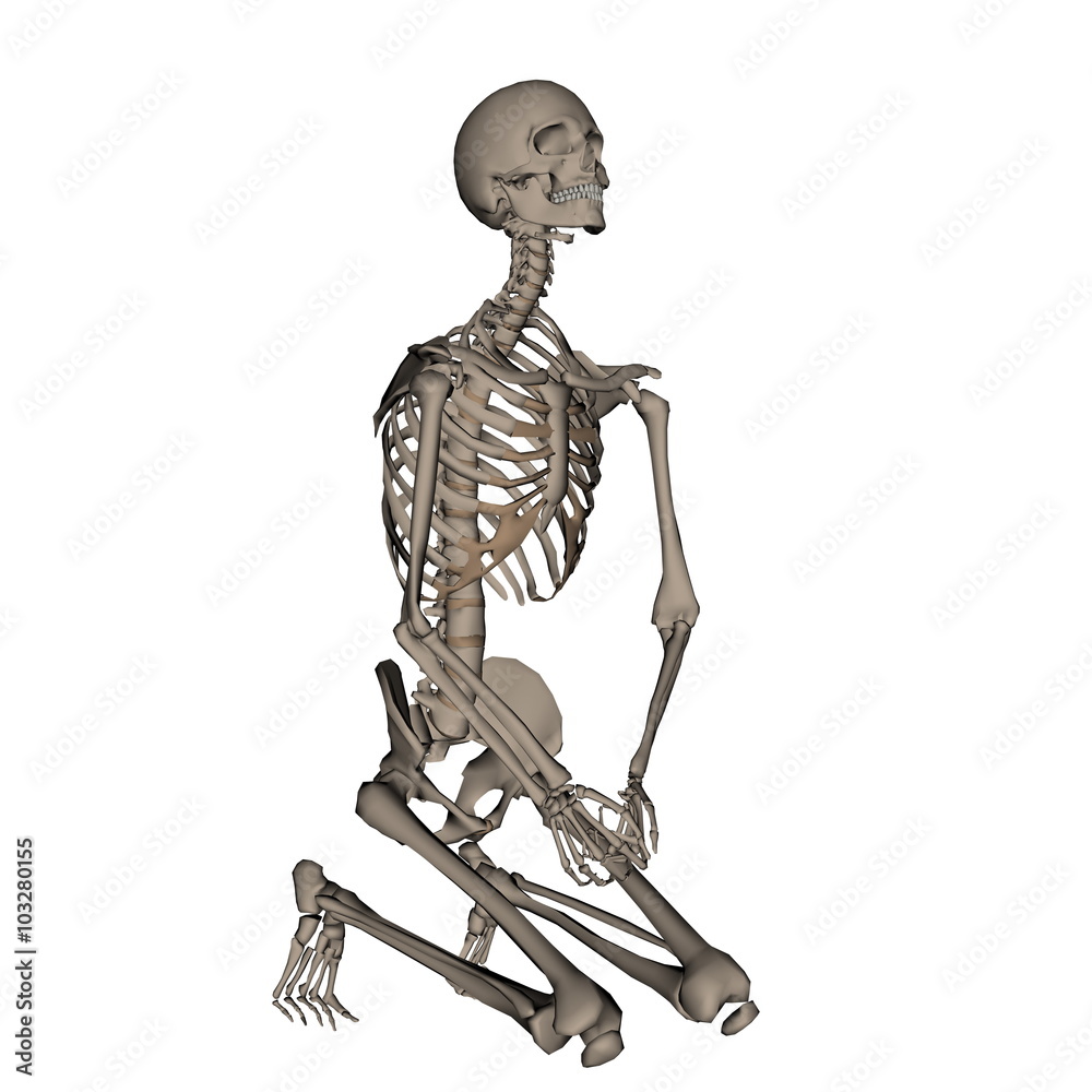 Human skeleton praying on his knees - 3D render Human skeleton praying on his knees - 3D render