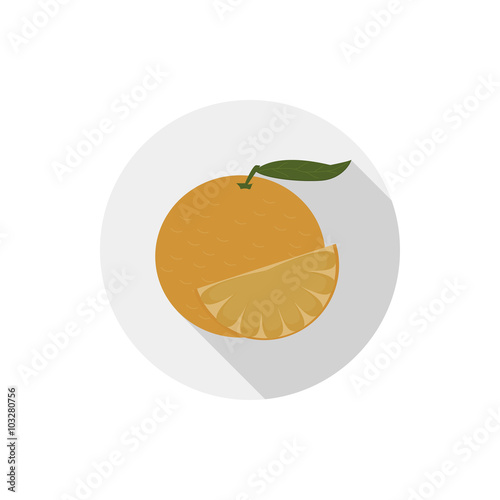 Isolated flat icon of vegetarian food fruits on white background. Ripe orange citrus orange. Vector