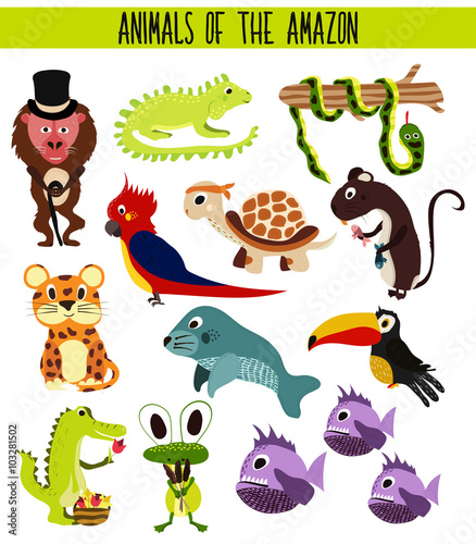 Set of Cute cartoon Animals and birds of the Amazon areas of South America isolated on white background. Jaguar, crocodile, piranha, Anaconda, Toucan, parrot, turtle and iguana. Vector
