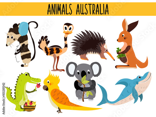 Set of Cute cartoon Animals and birds of Australia and its ostrovov. Kangaroo, possum, numbat, the Koala bear, EMU, parrot, alligator, echidna, and a predatory shark . Vector
